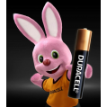 duracell-aa-2_1778496273-c73e6e4e4fe1ef3c73b70a4443800a8a.jpg
