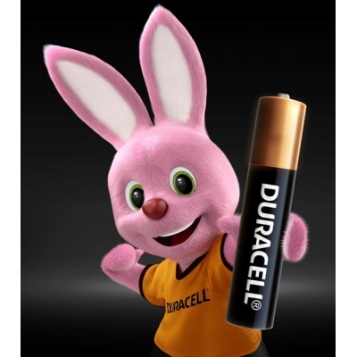 duracell-aa-2_1778496273-d7e87776d8790638d9b08d39765f4944.jpg